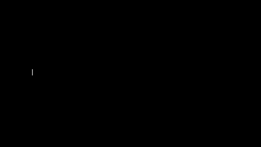 The prompt